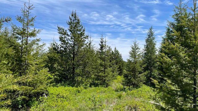 TBD Parcel 8 Bandmill Heights, Orofino, ID 83544