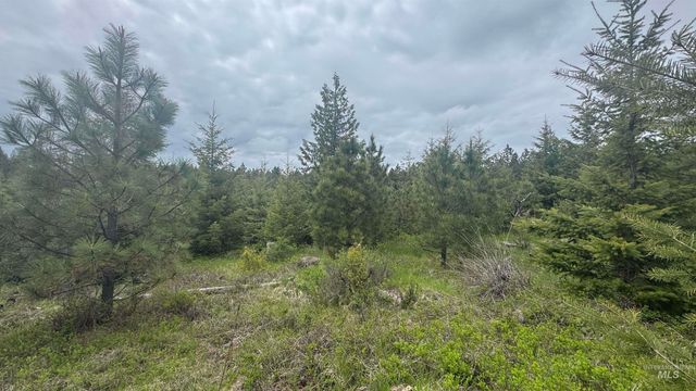 TBD Parcel 8 Bandmill Heights, Orofino, ID 83544