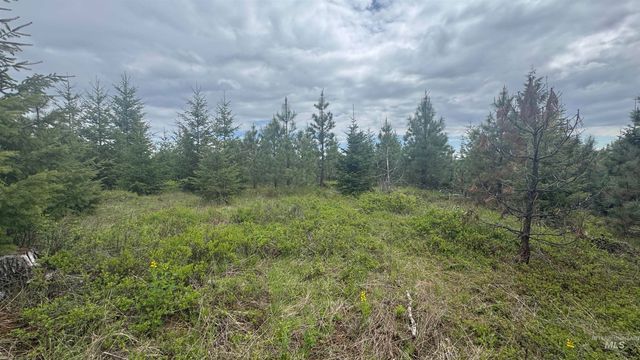 TBD Parcel 8 Bandmill Heights, Orofino, ID 83544