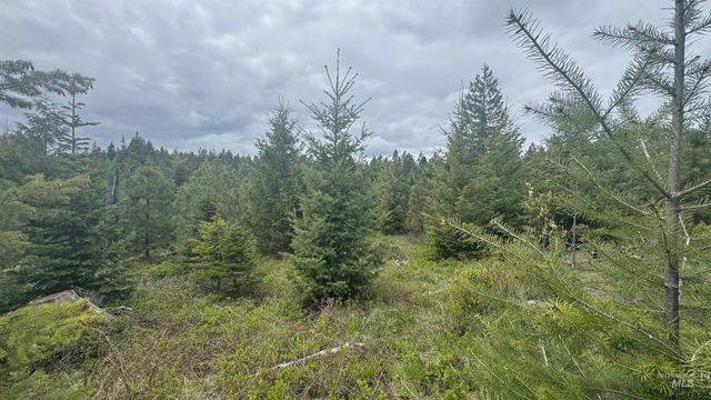 TBD Parcel 8 Bandmill Heights, Orofino, ID 83544