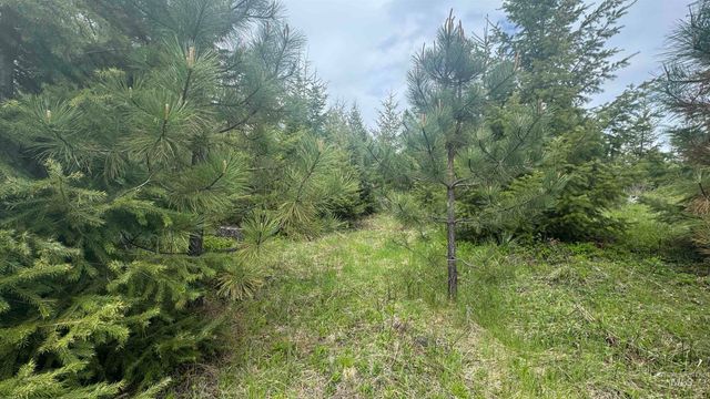TBD Parcel 8 Bandmill Heights, Orofino, ID 83544