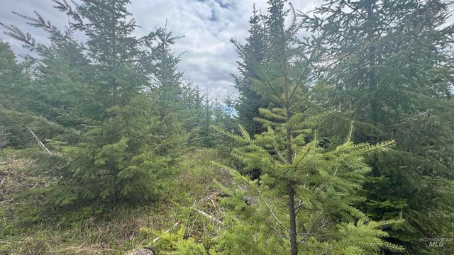 TBD Parcel 8 Bandmill Heights, Orofino, ID 83544