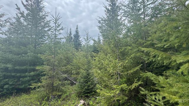 TBD Parcel 8 Bandmill Heights, Orofino, ID 83544