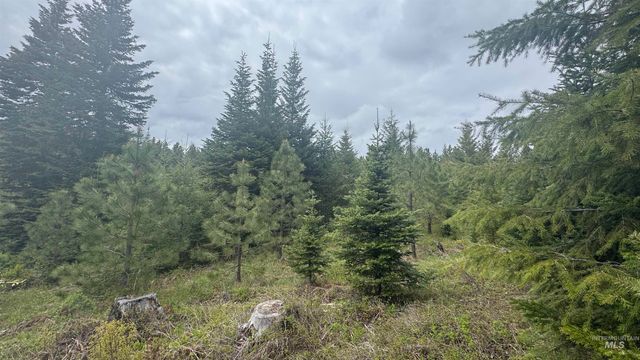 TBD Parcel 8 Bandmill Heights, Orofino, ID 83544