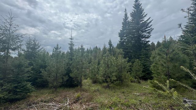 TBD Parcel 8 Bandmill Heights, Orofino, ID 83544