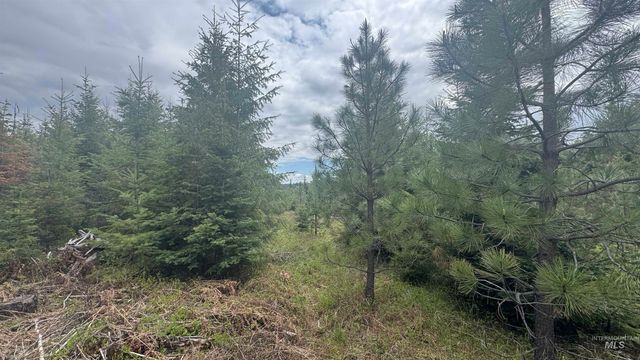 TBD Parcel 8 Bandmill Heights, Orofino, ID 83544