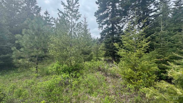 TBD Parcel 8 Bandmill Heights, Orofino, ID 83544