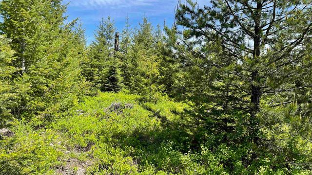 TBD Parcel 8 Bandmill Heights, Orofino, ID 83544