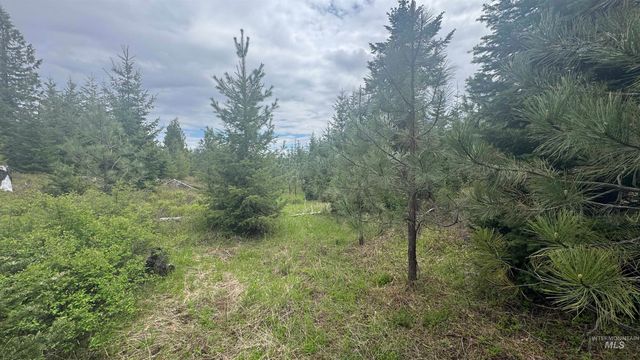TBD Parcel 8 Bandmill Heights, Orofino, ID 83544
