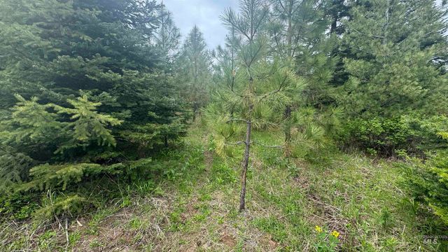 TBD Parcel 8 Bandmill Heights, Orofino, ID 83544