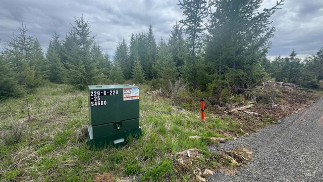 TBD Parcel 8 Bandmill Heights, Orofino, ID 83544