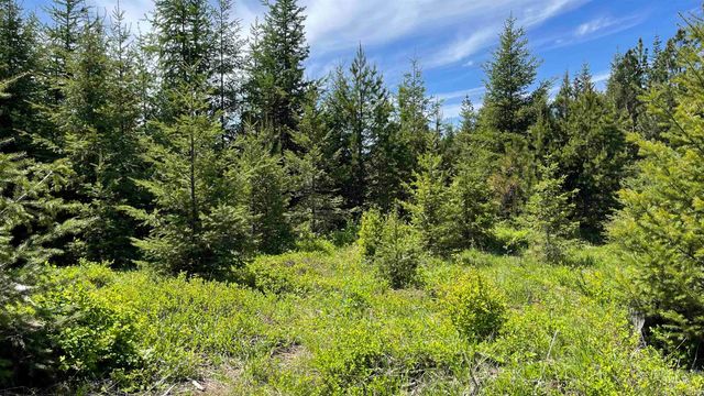 TBD Parcel 8 Bandmill Heights, Orofino, ID 83544
