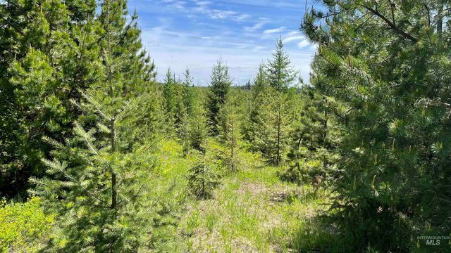 TBD Parcel 8 Bandmill Heights, Orofino, ID 83544