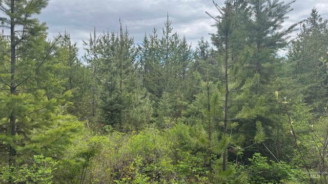 TBD Parcel 8 Bandmill Heights, Orofino, ID 83544