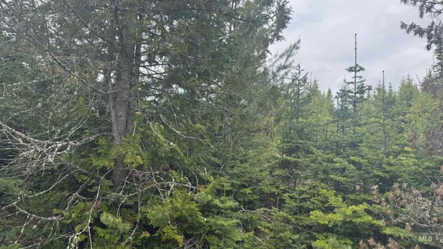 TBD Parcel 8 Bandmill Heights, Orofino, ID 83544