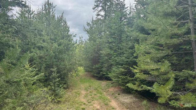 TBD Parcel 8 Bandmill Heights, Orofino, ID 83544