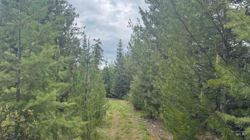 TBD Parcel 8 Bandmill Heights, Orofino, ID 83544