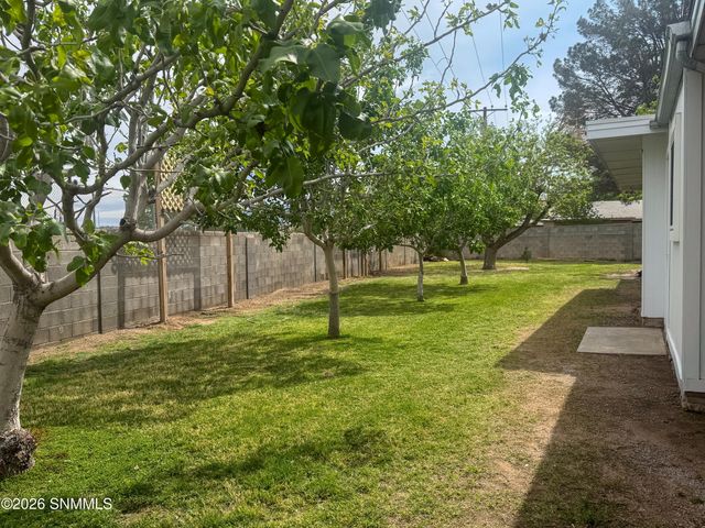 1989 Crescent Drive, Las Cruces, NM 88005