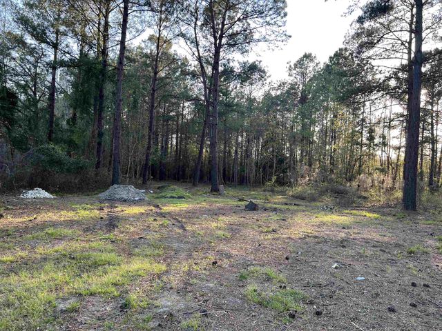 2108 Lees Landing Circle, Conway, SC 29526