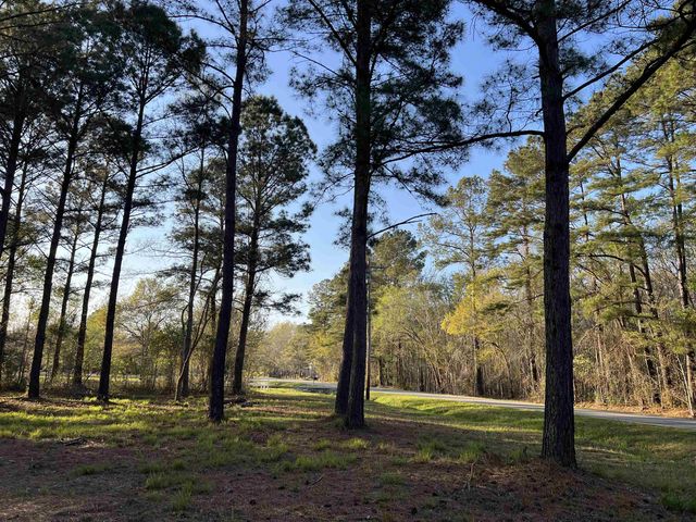 2108 Lees Landing Circle, Conway, SC 29526