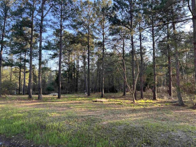 2108 Lees Landing Circle, Conway, SC 29526