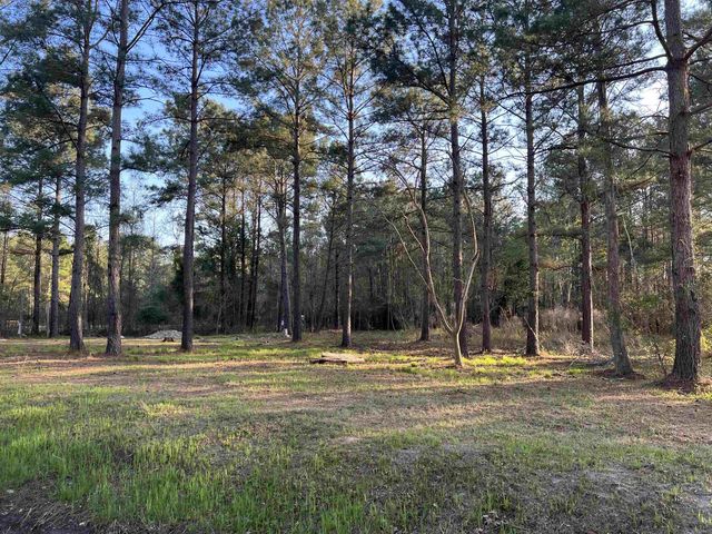 2108 Lees Landing Circle, Conway, SC 29526