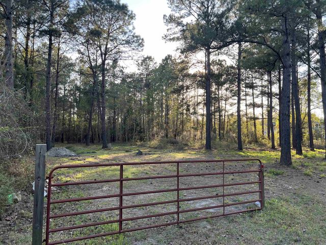 2108 Lees Landing Circle, Conway, SC 29526