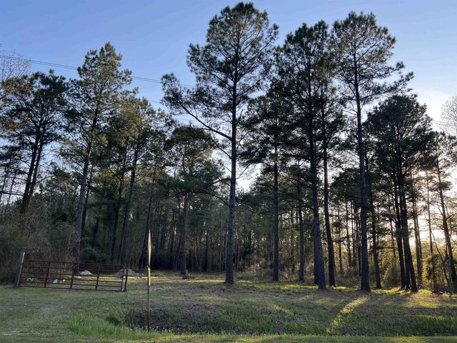 2108 Lees Landing Circle, Conway, SC 29526