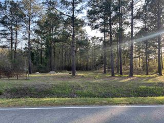2108 Lees Landing Circle, Conway, SC 29526
