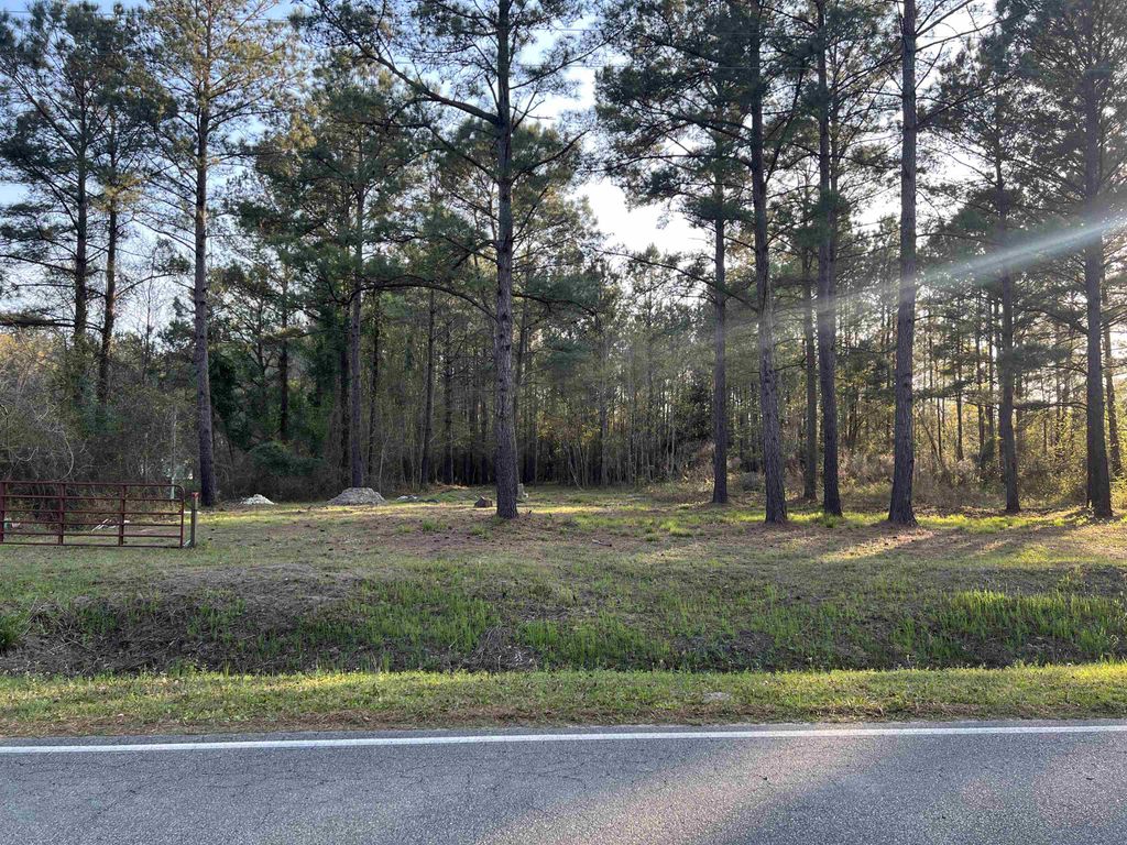 2108 Lees Landing Circle, Conway, SC 29526