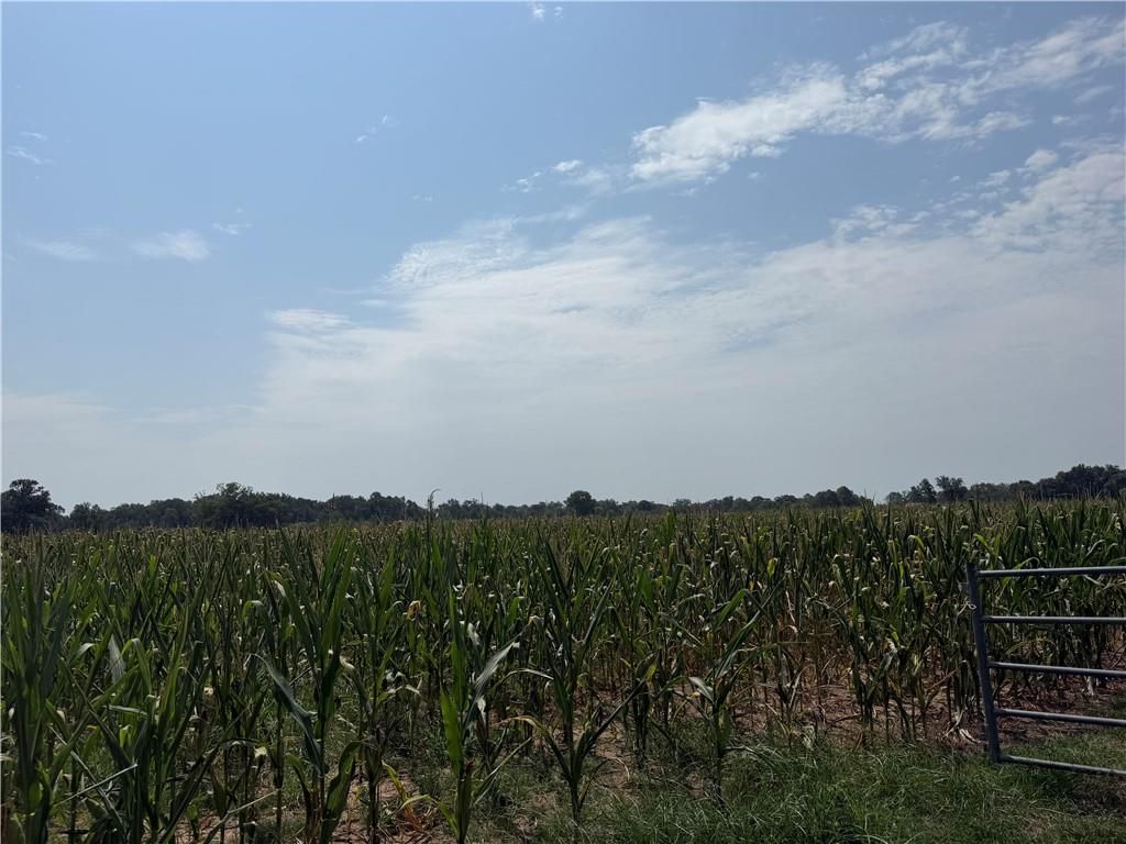 0 Grand Bay-Wilmer Road, Mobile, AL 36608 — photo 2