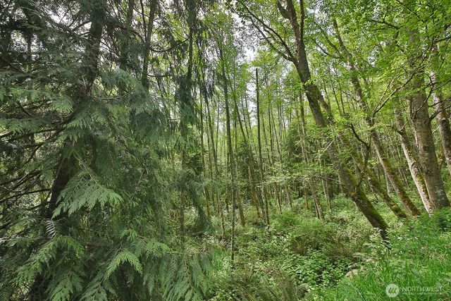 0 XXX Goss Lake Road, Langley, WA 98260