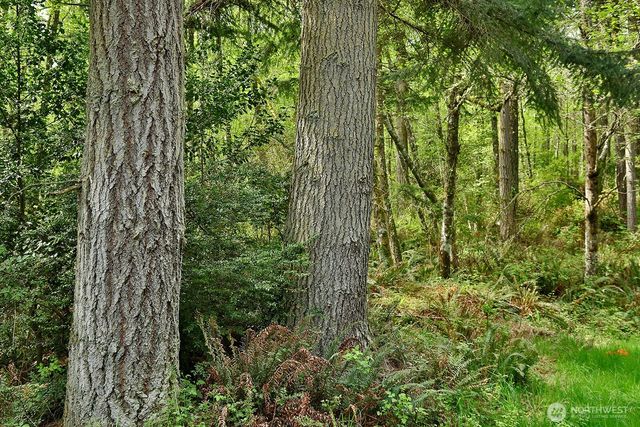 0 XXX Goss Lake Road, Langley, WA 98260