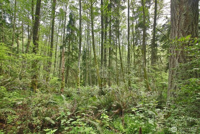 0 XXX Goss Lake Road, Langley, WA 98260