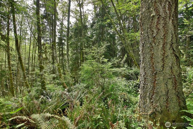 0 XXX Goss Lake Road, Langley, WA 98260