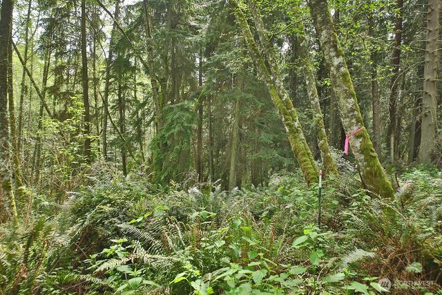 0 XXX Goss Lake Road, Langley, WA 98260