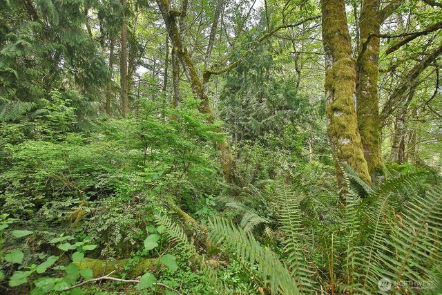 0 XXX Goss Lake Road, Langley, WA 98260