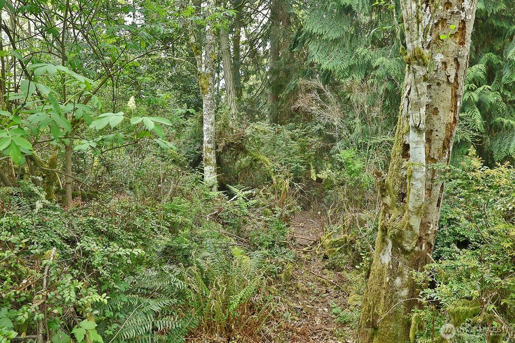 0 XXX Goss Lake Road, Langley, WA 98260