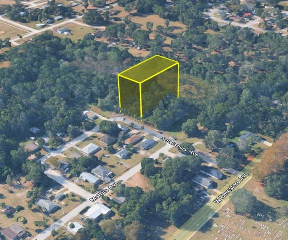 916 S SALISBURY AVENUE, Deland, FL 32720