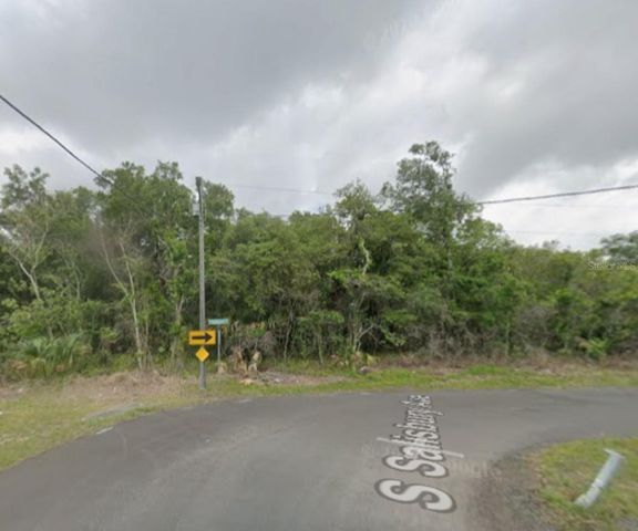 916 S SALISBURY AVENUE, Deland, FL 32720