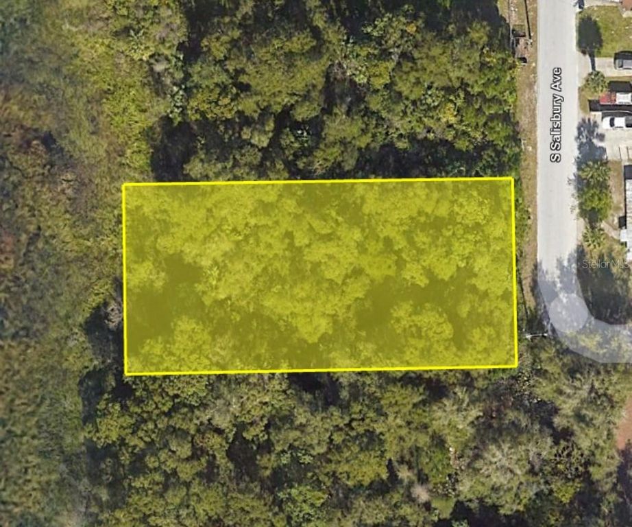 916 S SALISBURY AVENUE, Deland, FL 32720