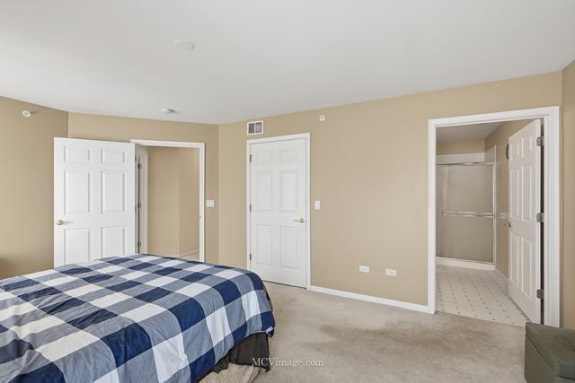 13825 S Bristlecone Lane C, Plainfield, IL 60544