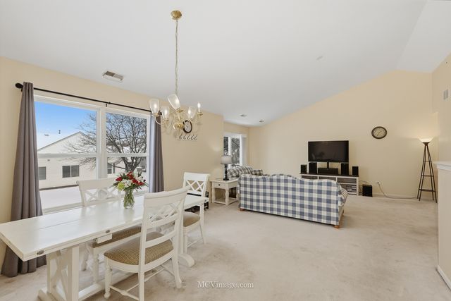 13825 S Bristlecone Lane C, Plainfield, IL 60544