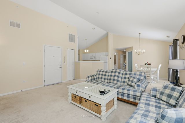 13825 S Bristlecone Lane C, Plainfield, IL 60544