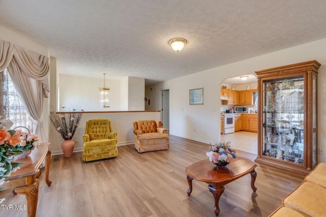 268 Stewart Hills Drive, Rogersville, TN 37857