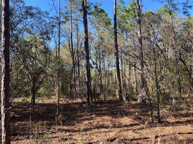 4061 N LITTLE DOVE TERRACE, Hernando, FL 34442