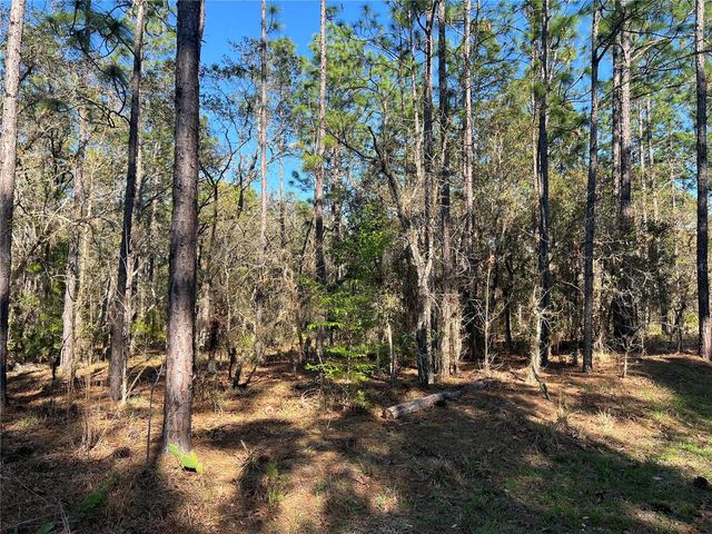 4061 N LITTLE DOVE TERRACE, Hernando, FL 34442