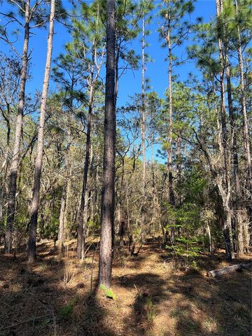 4061 N LITTLE DOVE TERRACE, Hernando, FL 34442