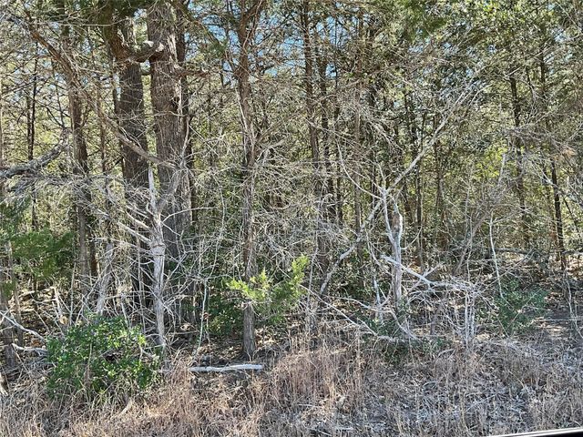 TBD County Road 212, Hallettsville, TX 77964