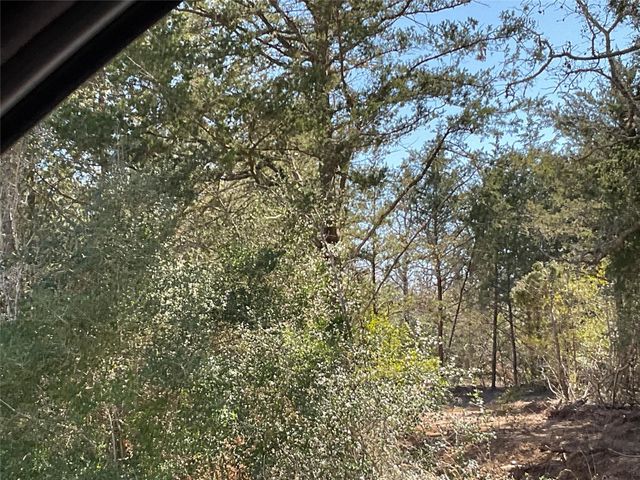 TBD County Road 212, Hallettsville, TX 77964